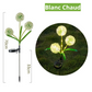 Blooming Flowers™ - Lampes Solaires Décoratives