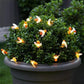 Bee Strings™ - Guirlande lumineuse solaire - Jardiko